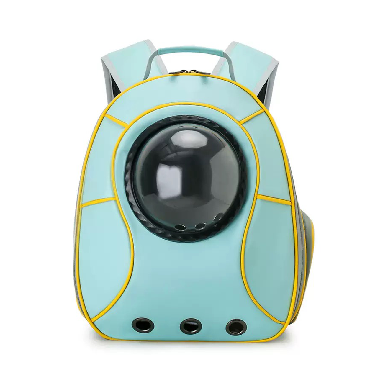 Pet Backpack Carrier D09167 in Blue